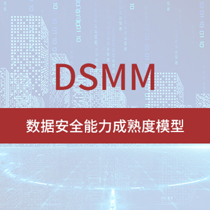 DSMM數(shù)據(jù)安全能力成熟度模型