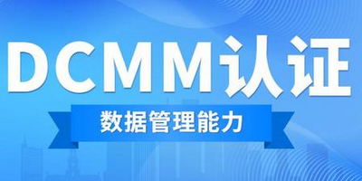 DCMM貫標意義？